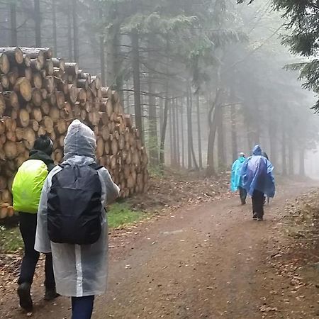 Urlaubsdomizil Am Toepfer - Ferienwohnungen In Olbersdorf Kültér fotó
