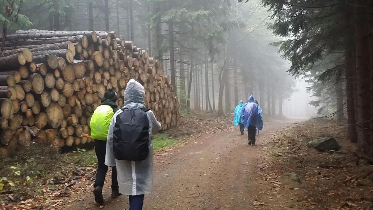 Urlaubsdomizil Am Toepfer - Ferienwohnungen In Olbersdorf Kültér fotó