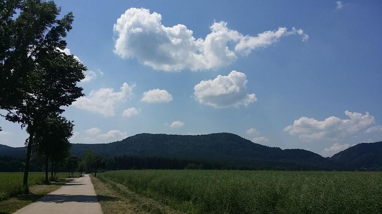 Urlaubsdomizil Am Toepfer - Ferienwohnungen In Olbersdorf Kültér fotó