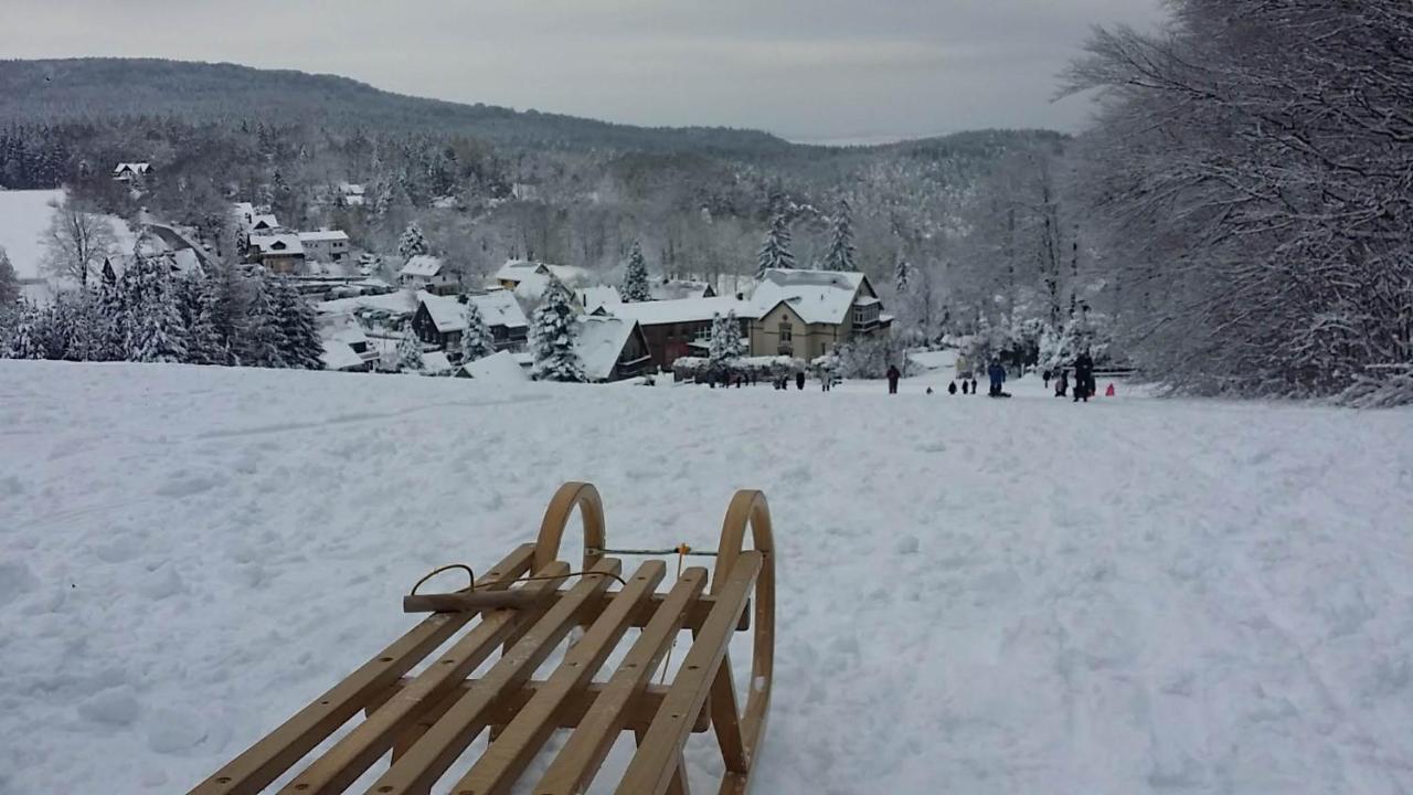 Urlaubsdomizil Am Toepfer - Ferienwohnungen In Olbersdorf Kültér fotó